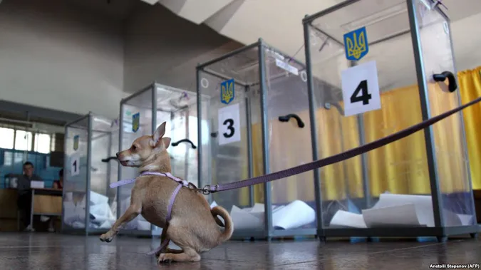 На Волині замінили майже 400 членів ДВК