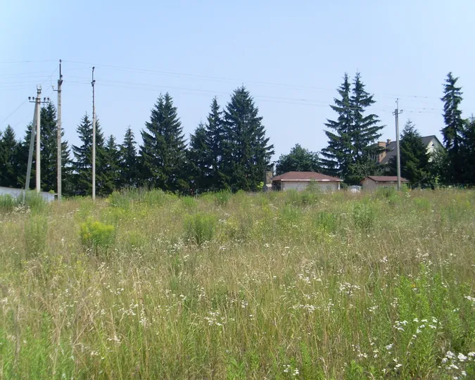 У Боголюбах незаконно роздали більше 3 гектарів землі