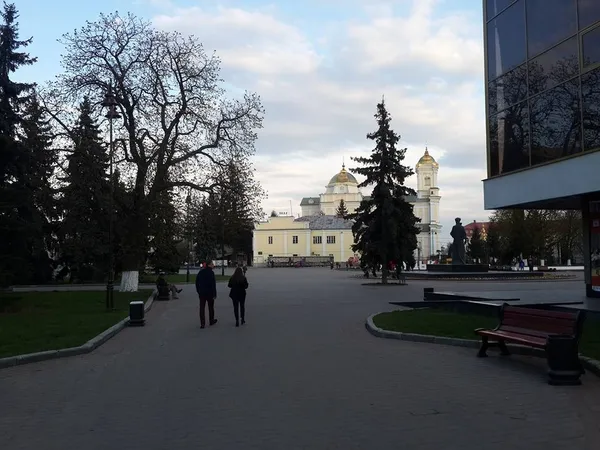 Лучанин пояснив, як водії авто можуть «успішно» паркуватися в центрі міста (фото)