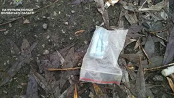 У центральному парку Луцька виявили підозрілих осіб (фото) 
