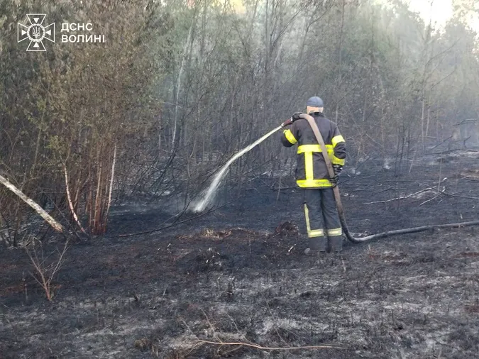На Волині за добу вигоріли гектари землі, торф досі тліє (фото)