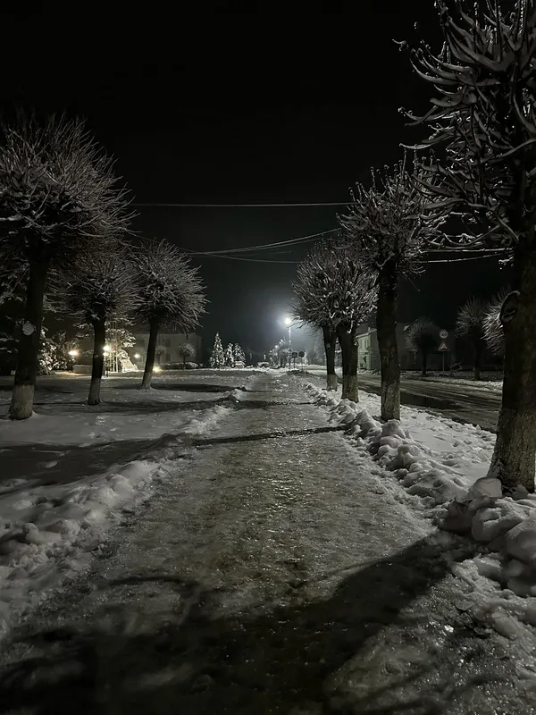 Сніг, бурульки і гірлянди: магічний Любешів на зимових фото