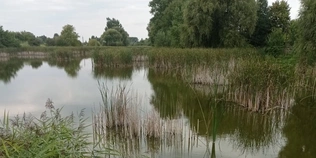 У Луцькому районі здають в оренду дві великі водойми для розведення риби