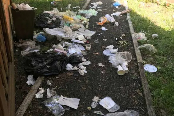 Недикі свині: у лісі на Волині відпочивальники лишили гори сміття