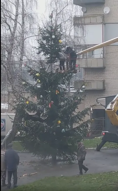Повішені зайці на ялинці з протезом: у Нововолинську «вистраждали» новорічне дерево (фото, відео)