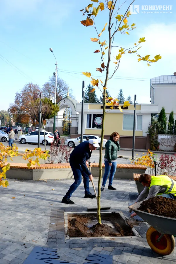 У Луцьку озеленили сквер біля «Бенедикту» (фото)
