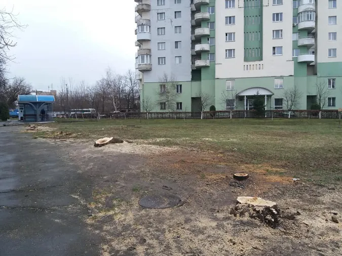 У Луцьку зрізали 18 дерев: комунальники ні сном, ні духом (фото)