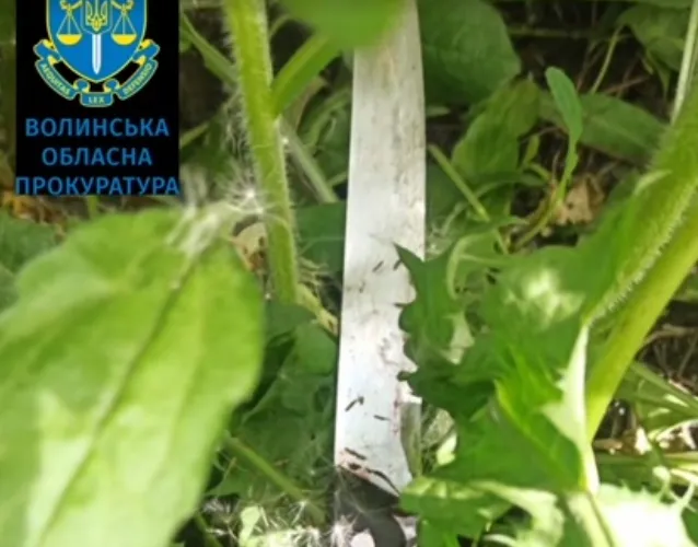 Ножем у груди: на Волині чоловік зарізав рідного брата