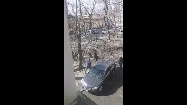 В Одесі сильний вітер повалив дерево, яке вбило жінку (фото, відео)