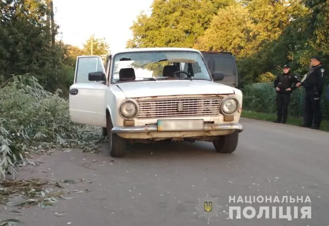 Зненацька вибіг на дорогу: під Луцьком авто збило чоловіка (фото, відео)