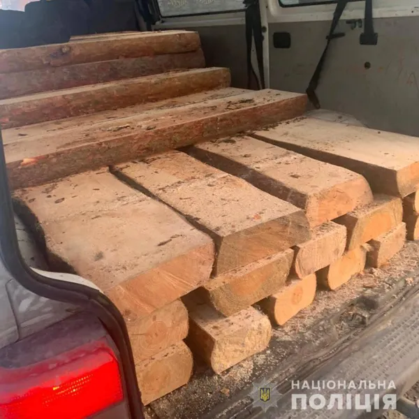 Біля Ківерців і в Старій Вижівці: поліцейські знайшли незаконно зрубані сосни (фото, відео)