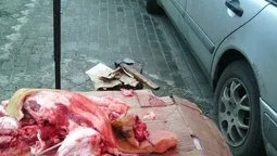 У Луцьку "підпільно" продавали свиняче м'ясо (фото)
