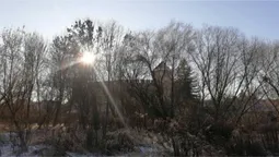 Наче з казки: світлини засніженого парку і замку зачарували лучан (фото)
