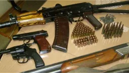 Цивільні повинні мати право на короткоствольну зброю, –  Тарас Шкітер про законопроєкт (відео)