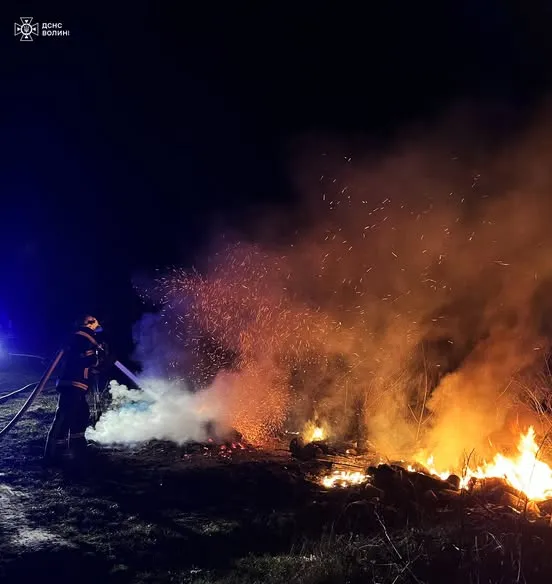 На Волині вигоріло понад 5 гектарів сухостою (фото)
