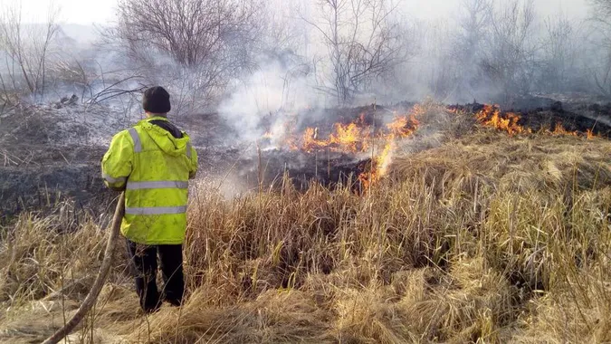 На Волині ліквідували дві масштабні пожежі гектарів трави (фото)