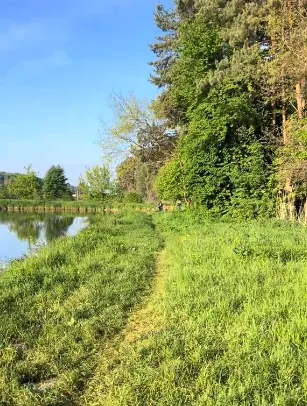 Де біля Луцька є ставок, у якому водиться форель і великі амури