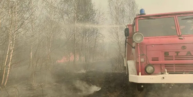 Масштабну пожежу під Шацьком здолали лише наступного дня (фото)