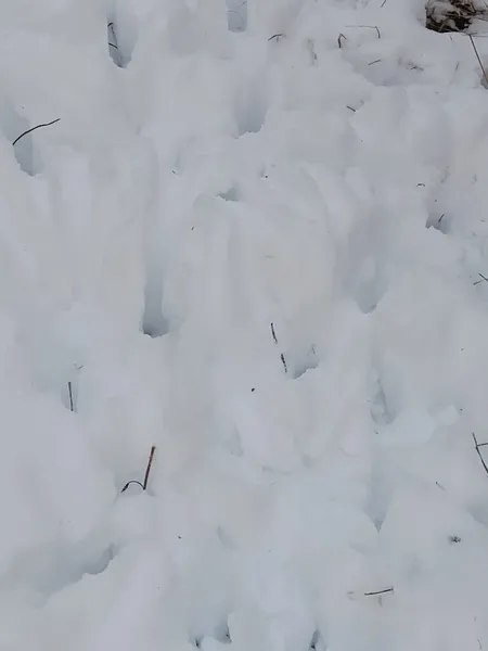 У водоймах Шацького нацпарку знайшли понад сотню незаконних снастей (фото)