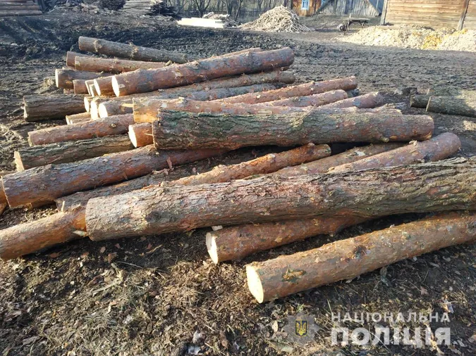 На Волині знайшли крадену деревину з Рівненщини