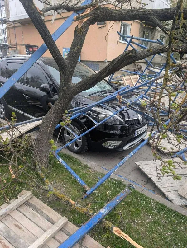 Буревій у Луцьку повалив дерево на припаркований автомобіль (фото, відео)