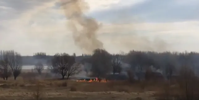 У Луцьку знову горів луг (фото, відео)