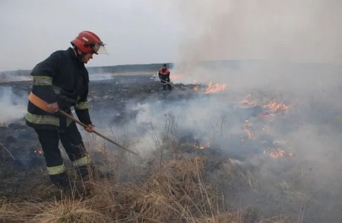 Чоловіка покарали за підпал трави в Княгининку