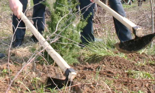 Зламав плече: на Волині сусіди побилися через город
