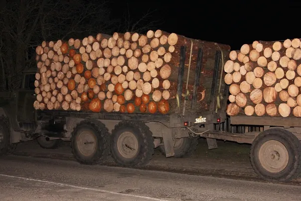 Волинські лісівники затримали вантажівку із двома причепами неоформлених колод