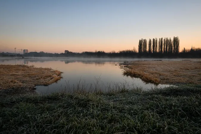 Серпанковий світанок: показали ранкову красу Гнідавського болота (фото)