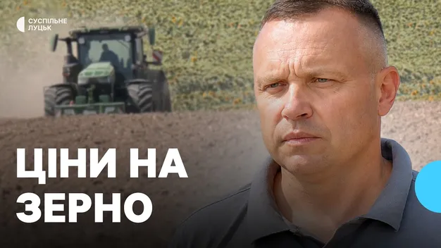 «10 тонн пшениці – 1 тонна дизелю»: як на Волині триває продаж урожаю 2026 року