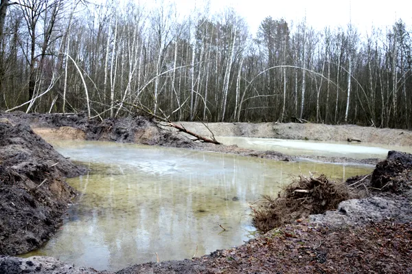 Волинські лісівники показали, як ведуть мисливське господарство (фото)