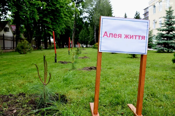 У Луцьку з’явилася «Алея життя», висаджена людьми з донорськими органами (фото)