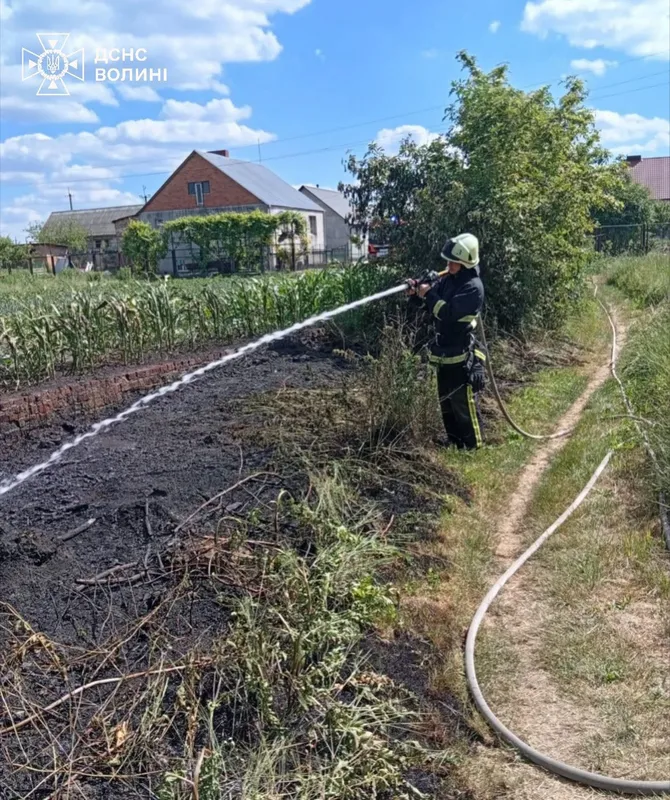 Волинь знову у вогні: за добу рятувальники ліквідували чотири пожежі (фото)