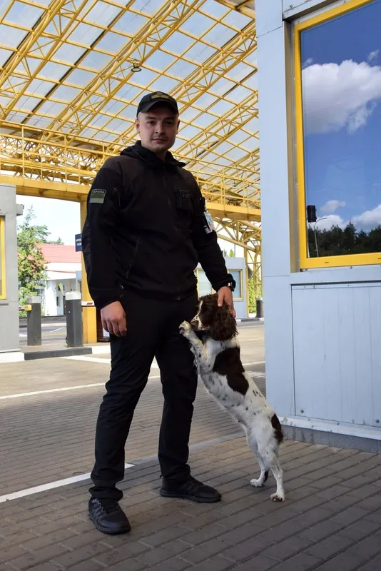 Дейзі шукає наркотики, Вадим – її м'ячик: історія кінолога з «Ягодина»