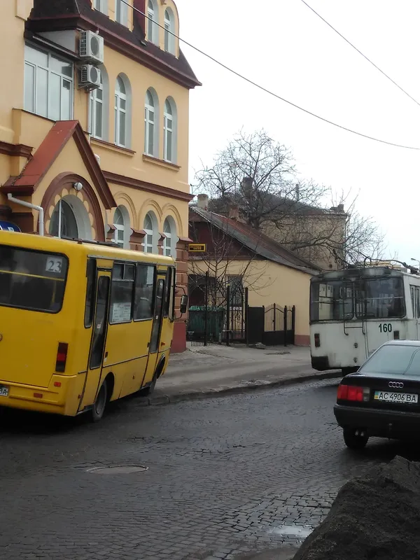 У центрі Луцька зупинилися тролейбуси (фото)