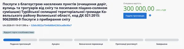 Скільки насправді громади Волині витратили на розчищення снігу