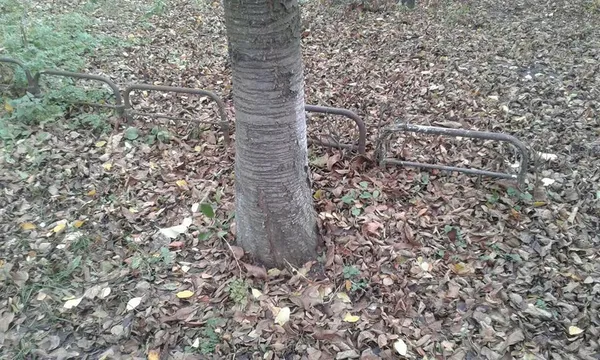 Муніципали зносять паркани у луцьких дворах (фото)