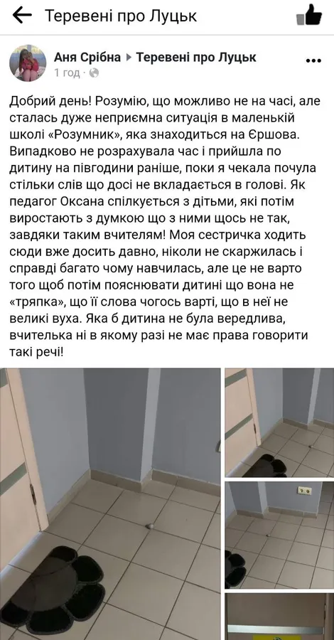 У Луцьку в маленькій школі вчителька обізвала хлопчика «тряпкою» (відео)