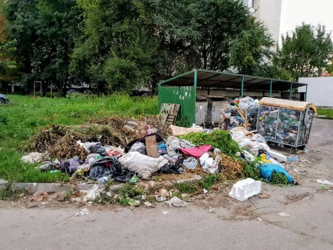 Працюють лише мухи: лучанин втретє просить прибрати сміття на вулиці 