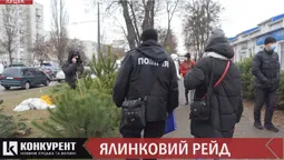 Без чіпів і дозвільних документів: як у Луцьку штрафували продавців ялинок (відео)
