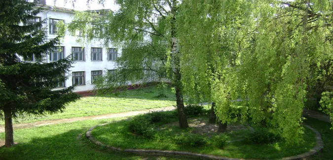 Освіта в тренді: Луцька ЗОШ №15