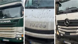 Їхали без пауз і з «чужими» картками: на Волині виявили порушення у водіїв міжнародних рейсів (фото)