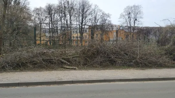 Садять квіти та обрізають гілля: луцькі комунальники наводять лад на вулицях міста ( фото, відео)