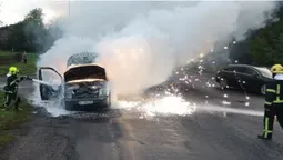У селі під Луцьком згорів легковик (фото, відео)