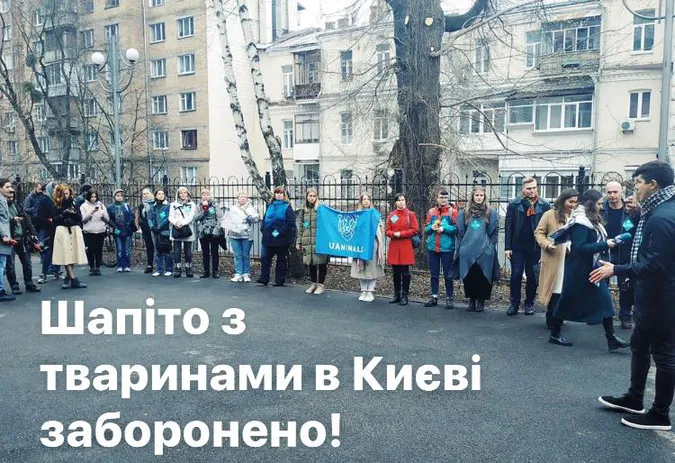Суд у Києві остаточно заборонив пересувні цирки з тваринами