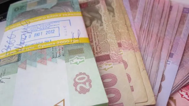 Підприємці-спрощенці спрямували до бюджетів Волині 450 мільйонів гривень