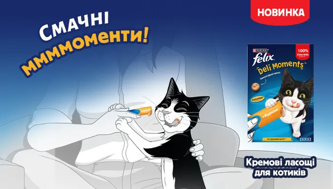 Felix Deli Moments: як і коли давати ласощі коту правильно?