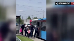 У Струмівці біля Луцька пасажирки автобуса влаштували бійку прямо на зупинці (відео)