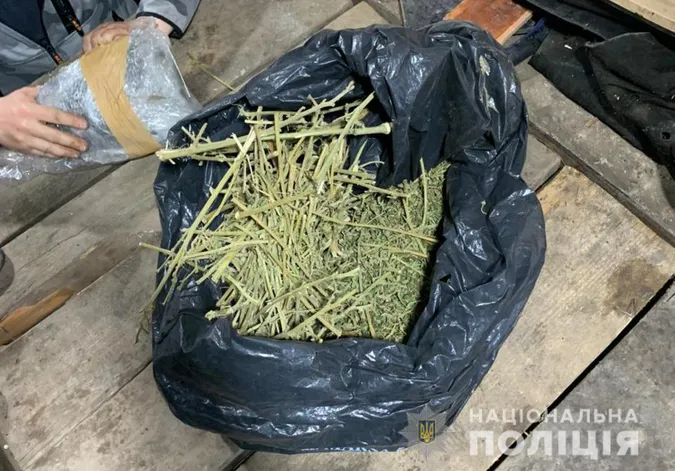 У гаражі нововолинця знайшли майже кілограм марихуани (фото)